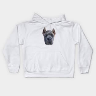 Cane Corso Puppy Dog Fawn Formentino Kids Hoodie